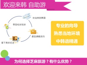 韓國首爾與釜山專業(yè)翻譯與軟件開發(fā)服務