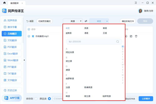 音頻翻譯成文字的軟件 超贊工具全解鎖